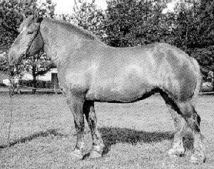 CAL EX-SOVIETIC DE MARE TRACTIUNE